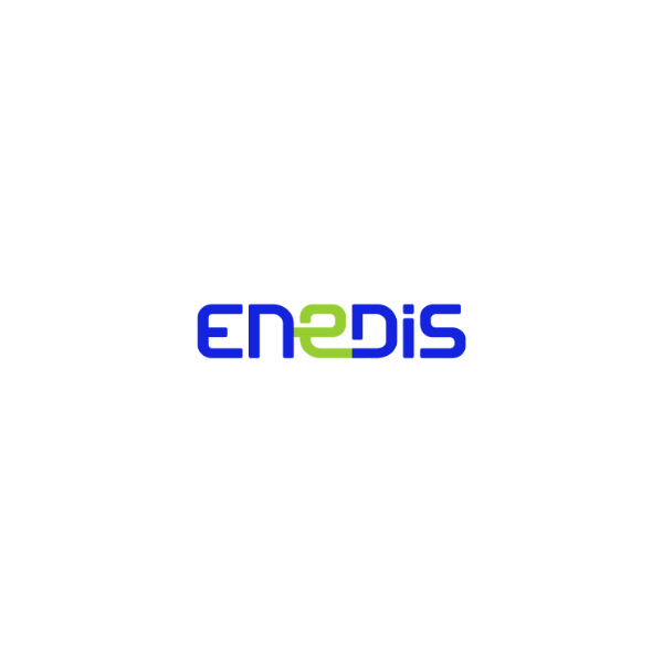 Logo_Enedis